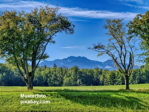 Einfamilienhaus zum Kauf provisionsfrei 1.790.000 € 6 Zimmer 140 m² 903 m² Grundstück Bernau Bernau am Chiemsee 83233