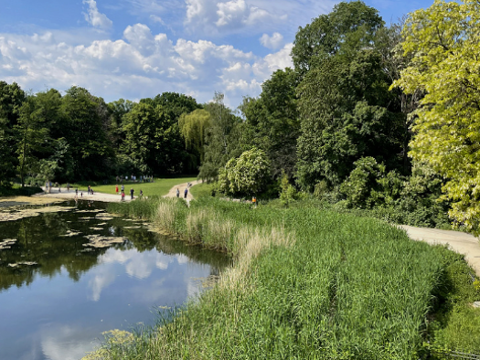 Studio zum Kauf 159.000 € 1 Zimmer 28,9 m² 3. Geschoss frei ab sofort Wilmersdorf Berlin 10715