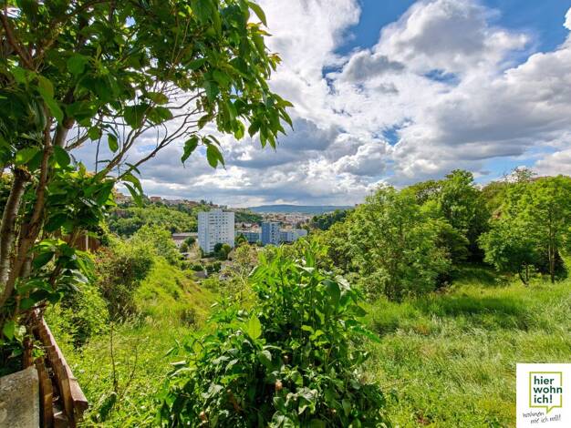 Grundstück zum Kauf 499.000 € 3.070 m² Grundstück Krems an der Donau Krems an der Donau 3500