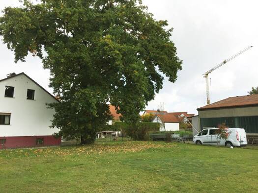 Grundstück zum Kauf provisionsfrei 495.000 € 800 m² Grundstück frei ab sofort Richtweg 25 Wendelstein 90530