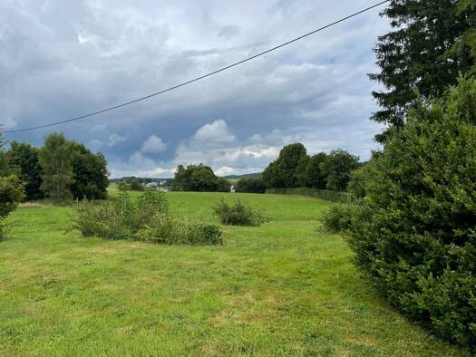 Grundstück zum Kauf 75.000 € 1.640 m² Grundstück Olzheim 54597