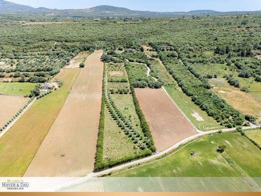 Land-/Forstwirtschaft zum Kauf 350.000 € 14.862 m² Grundstück Ariany 07529