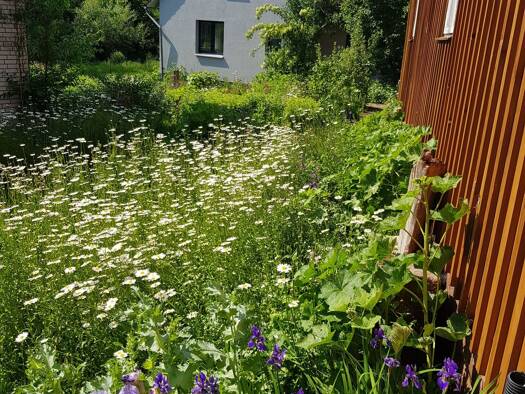 Bungalow zur Miete 525 € 2 Zimmer 70 m² frei ab 01.03.2026 Bremke Gleichen 37130