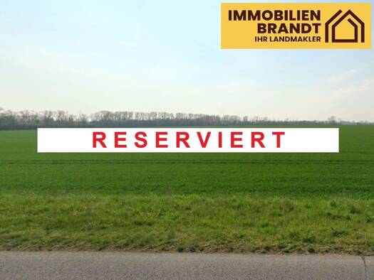 Landwirtschaftliche Fläche zum Kauf 138.846 m² Grundstück Eggersdorf Bördeland 39221