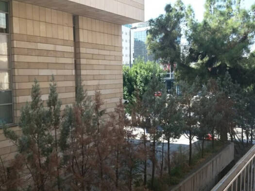 Bürogebäude zum Kauf als Kapitalanlage geeignet 210.000 € 1 Zimmer 62 m² Athen