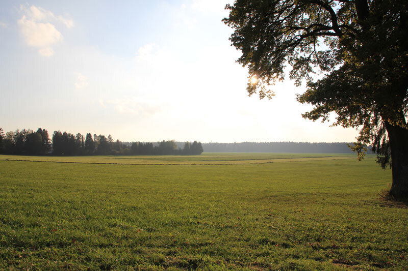 Grundstück zum Kauf 910 m²<br/>Grundstück Straßlach Straßlach-Dingharting 82064