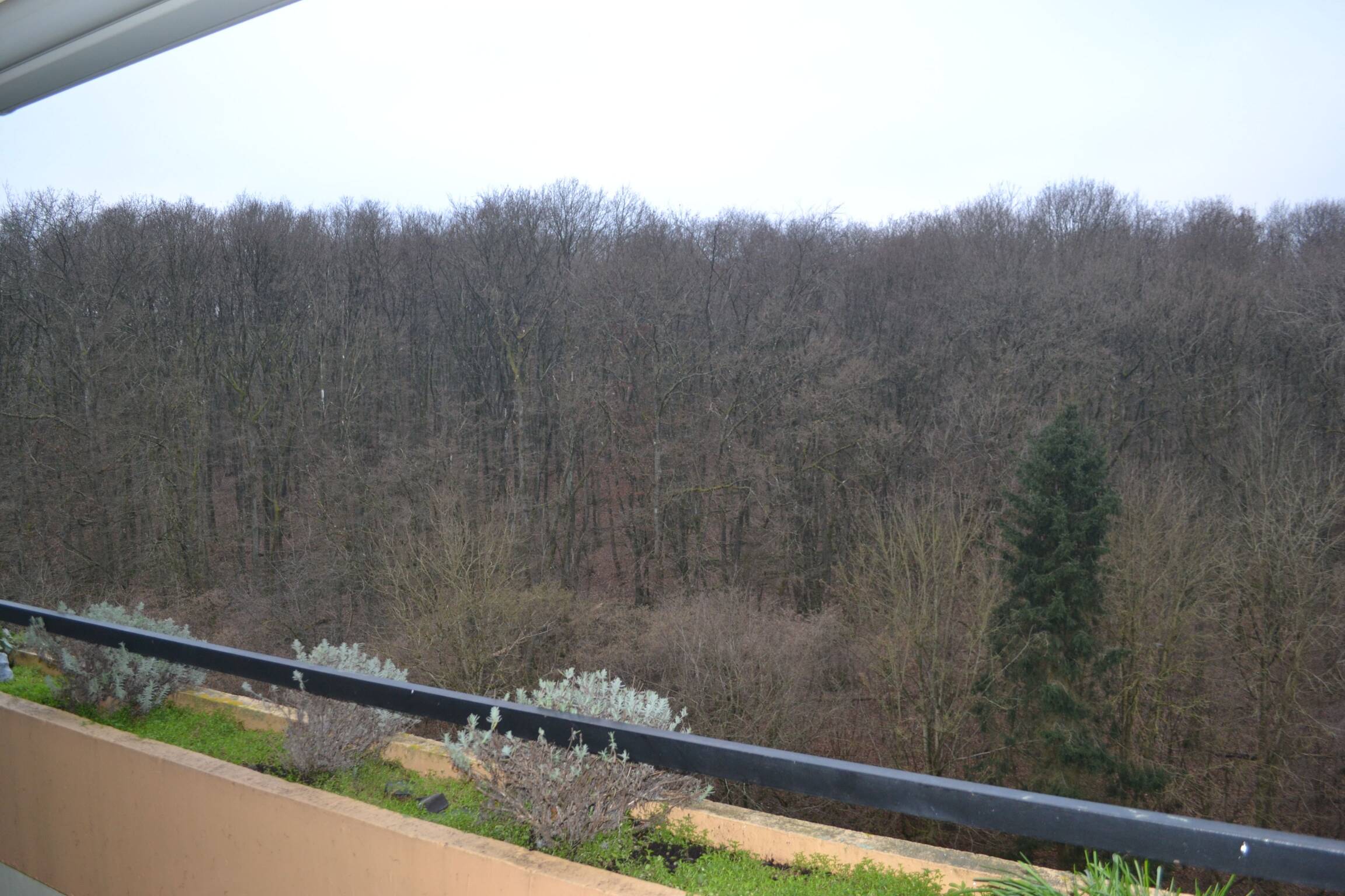 Schöne Eigentumswohnung mit Tiefgaragenstellplatz in Trier- Mariahof – Trebetastraße 9, 54296 Trier – Vorschaubild 4