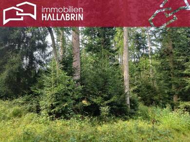 Forstwirtschaft zum Kauf 95.000 € 23.680 m² Grundstück Dietersburg Dietersburg 84378