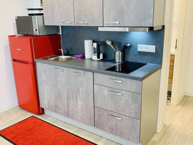 Wohnung zur Miete Wohnen auf Zeit 850 € 1 Zimmer 30 m² frei ab 01.12.2025 Dudenhofen 67373