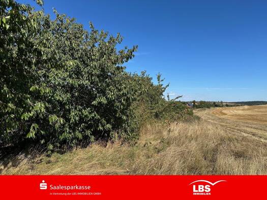 Grundstück zum Kauf 35.600 € 712 m² Grundstück frei ab sofort Lodersleben Querfurt 06268
