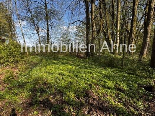 Land-/Forstwirtschaft zum Kauf 95.000 € 1.332 m² Grundstück Markt Wald Markt Wald 86865
