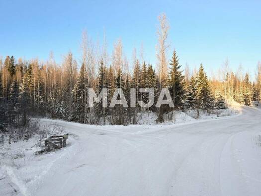 Grundstück zum Kauf 65.000 € 5.000 m² Grundstück Mäntsälä 04480