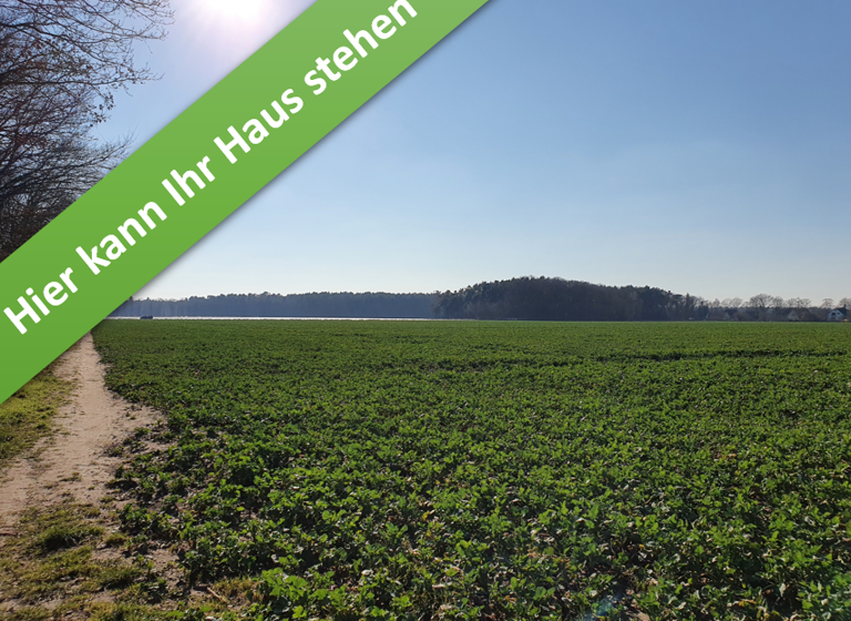 Haus 109 m² 293750 € zum Kauf Kantallee ,Wathlingen,Wathlingen(29339)