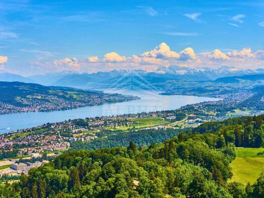 Villa zum Kauf 10 Zimmer 750 m² 2.600 m² Grundstück Innenstadt Sankt Gallen