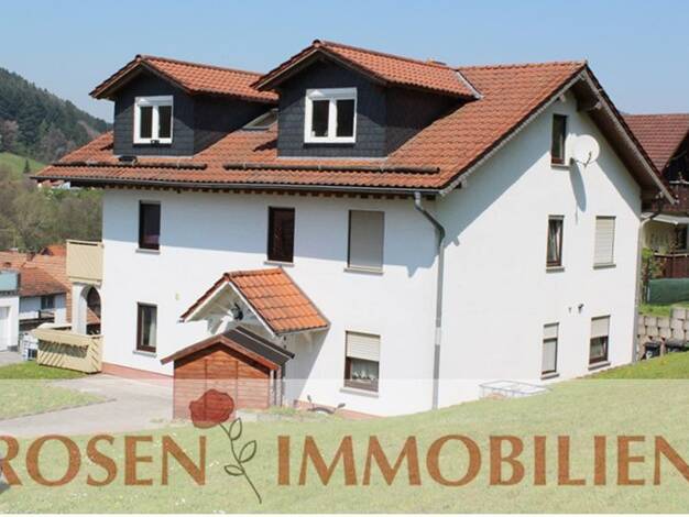 Wohnung zur Miete 550 € 2 Zimmer 62 m² 3. Geschoss frei ab sofort Wald-Michelbach 69483