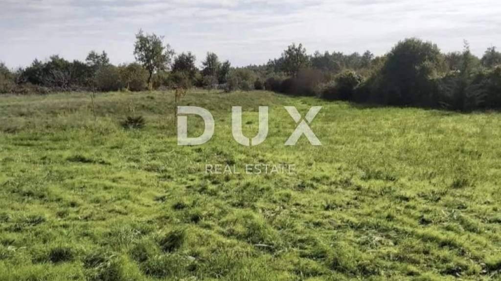 Land-/Forstwirtschaft zum Kauf 52.300 € Zminj