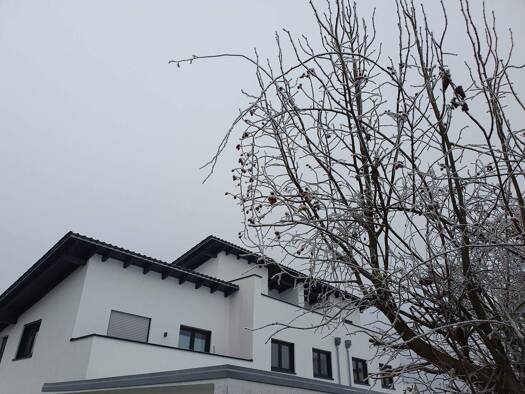 Haus zum Kauf - Erstbezug provisionsfrei 640.000 € 5 Zimmer 150 m² 263 m² Grundstück frei ab sofort Waldkraiburg 84478