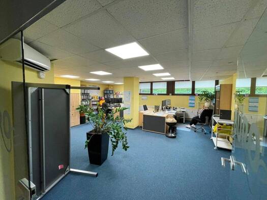 Bürofläche zur Miete provisionsfrei 1.162 € 3 Zimmer 101 m² Bürofläche Düsseltal Stadtbezirk 2 40237