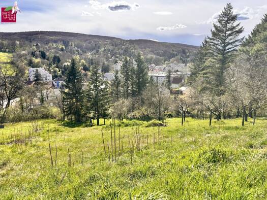 Grundstück zum Kauf 830.000 € 1.220 m² Grundstück Klosterneuburg 3400