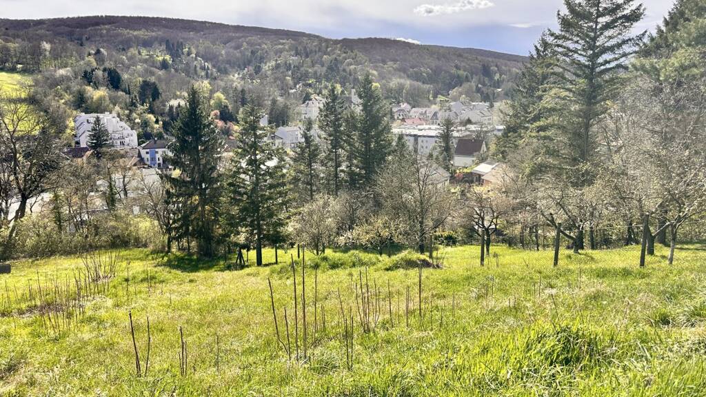 Grundstück zum Kauf 830.000 € 1.220 m² Grundstück Klosterneuburg 3400