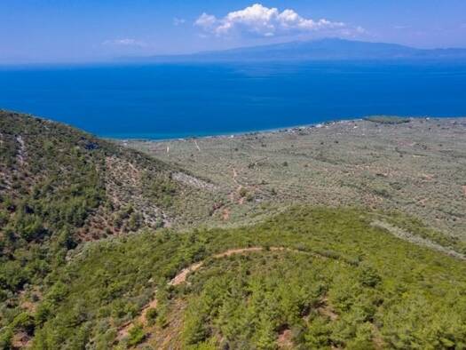 Grundstück zum Kauf 200.000 € 38.000 m² Grundstück Thassos, Kallirachi