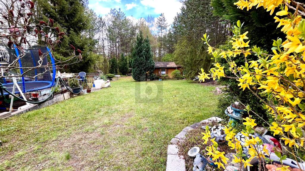 Grundstück zum Kauf 149.999 € 600 m² Grundstück Berndorf 2560