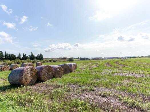 Grundstück zum Kauf 300.000 € 400 m² Grundstück Petra 07520