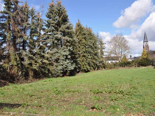 Grundstück zum Kauf 295.000 € 958 m² Grundstück Erftstadt 50374