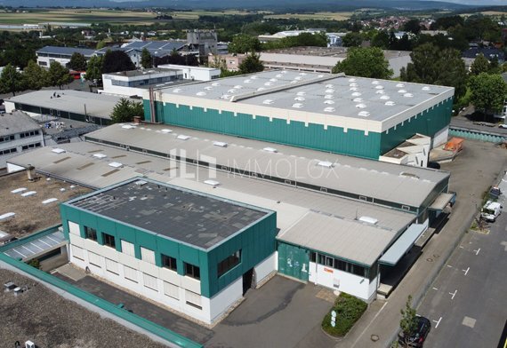 Lagerhalle zur Miete 5.340 m²<br/>Lagerfläche Kriftel 65830