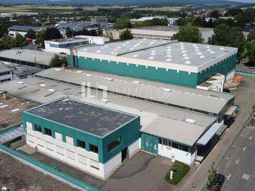 Lagerhalle zur Miete 5.340 m² Lagerfläche Kriftel 65830