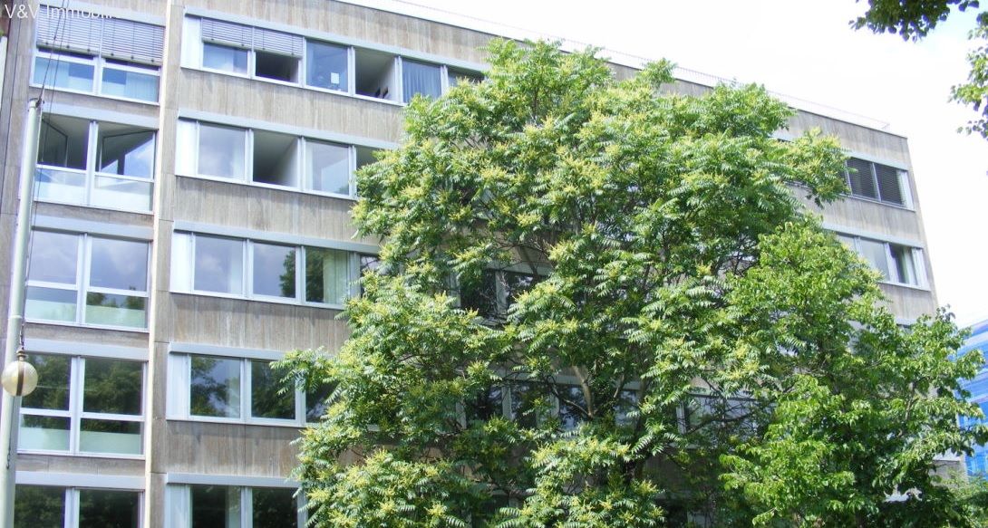 Bürogebäude zur Miete provisionsfrei 17,50 € 433 m²<br/>Bürofläche Westend - Süd Frankfurt am Main 60325