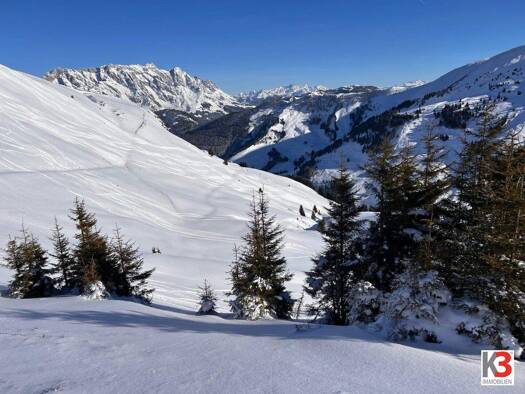 Gastronomie/Hotel zum Kauf 2.990.000 € 8.845 m² Grundstück Saalfelden am Steinernen Meer 5760