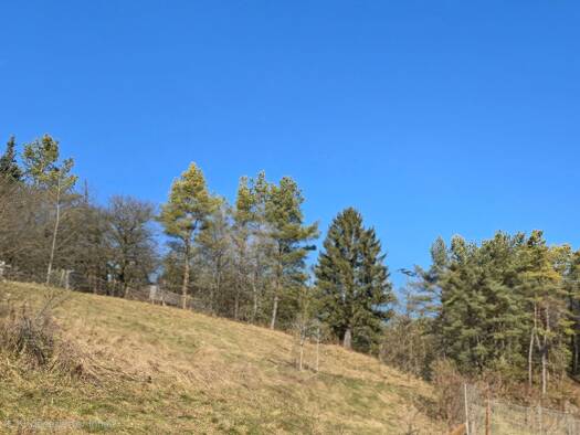 Grundstück zum Kauf 65.000 € 1.220 m² Grundstück frei ab sofort Kleinkirchenbirkig 3 Kleinkirchenbirkig Pottenstein 91278