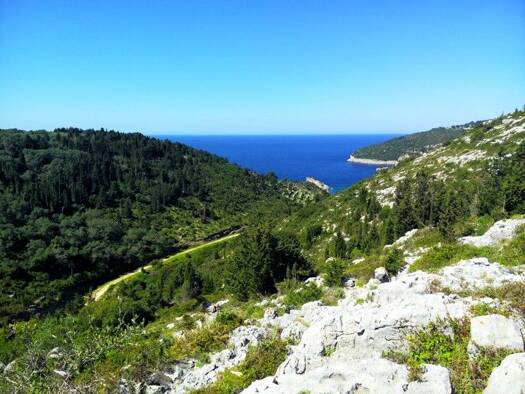 Land-/Forstwirtschaft zum Kauf 350.000 € 5.000 m² Grundstück Ionische Inseln