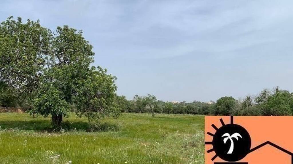 Grundstück zum Kauf provisionsfrei 500.000 € 16.453 m² Grundstück Baugenehmigung vorhanden Santanyi 07650