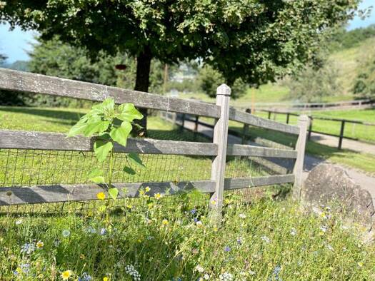 Land-/Forstwirtschaft zum Kauf 3.950.000 € 250 m² 100.000 m² Grundstück Gurtweil Waldshut-Tiengen 79761