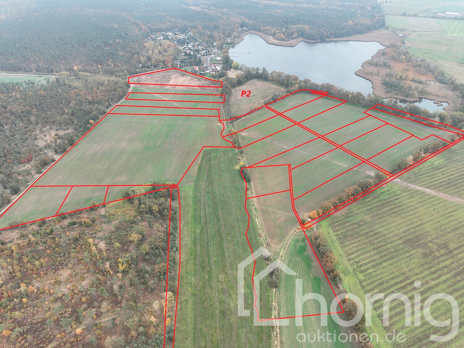 Land-/Forstwirtschaft zum Kauf 390.000 € 425.455 m²<br/>Grundstück Schildau Belgern-Schildau 04889