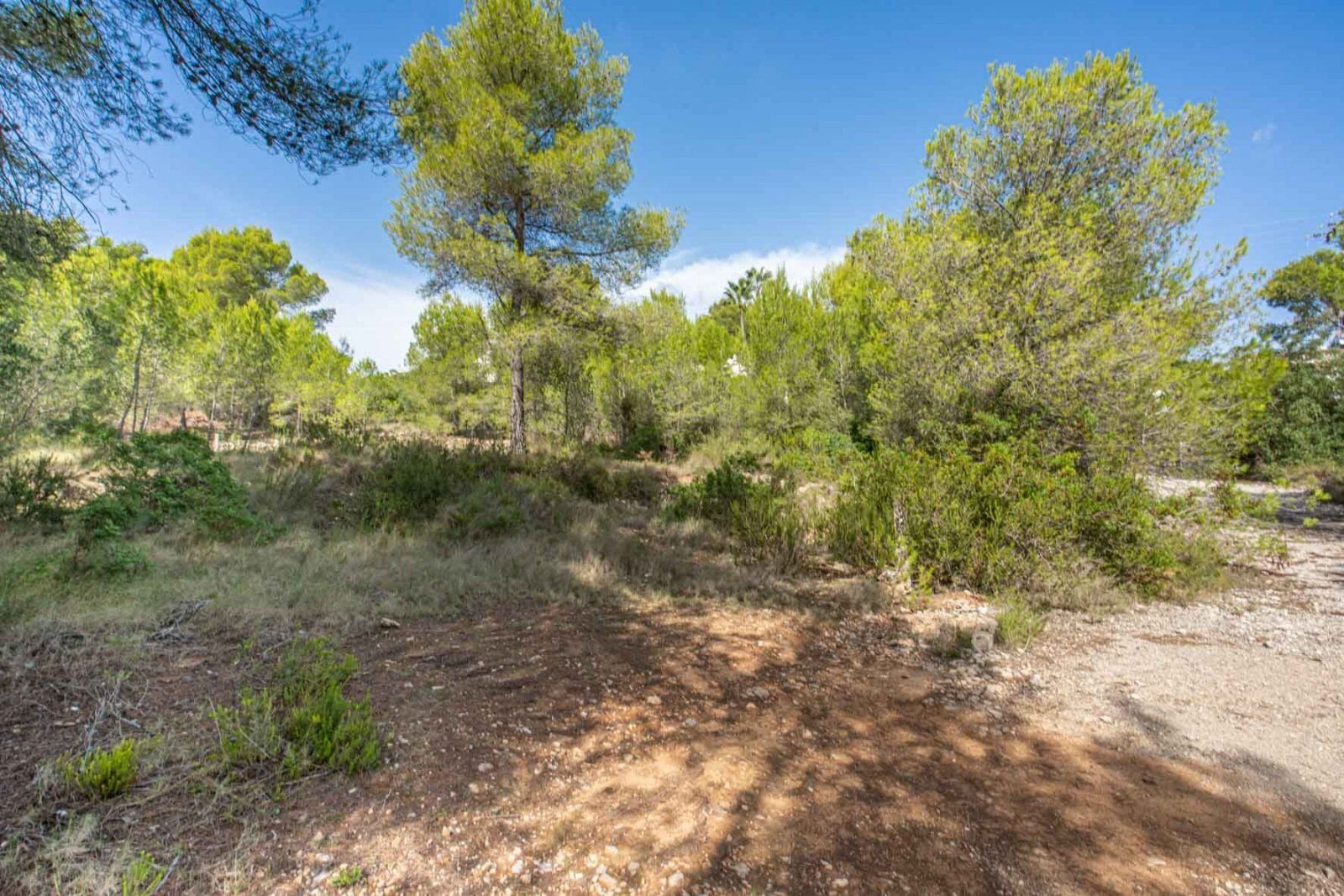 Grundstück zum Kauf 80.000 € 700 m²<br/>Grundstück Javea