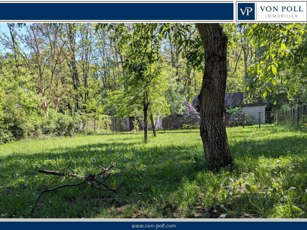 Grundstück zum Kauf 75.000 € 1.765 m² Grundstück Roggosen Neuhausen OT Bräsinchen 03058