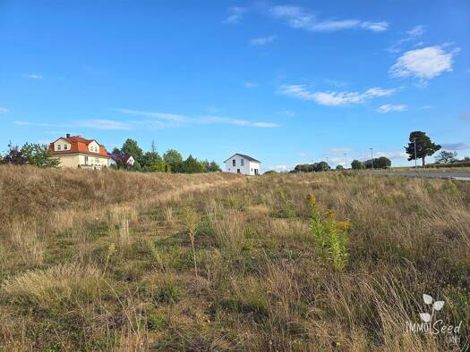 Grundstück zum Kauf provisionsfrei 149.990 € 721 m² Grundstück frei ab sofort Alte Straße Großröhrsdorf Großröhrsdorf 01900