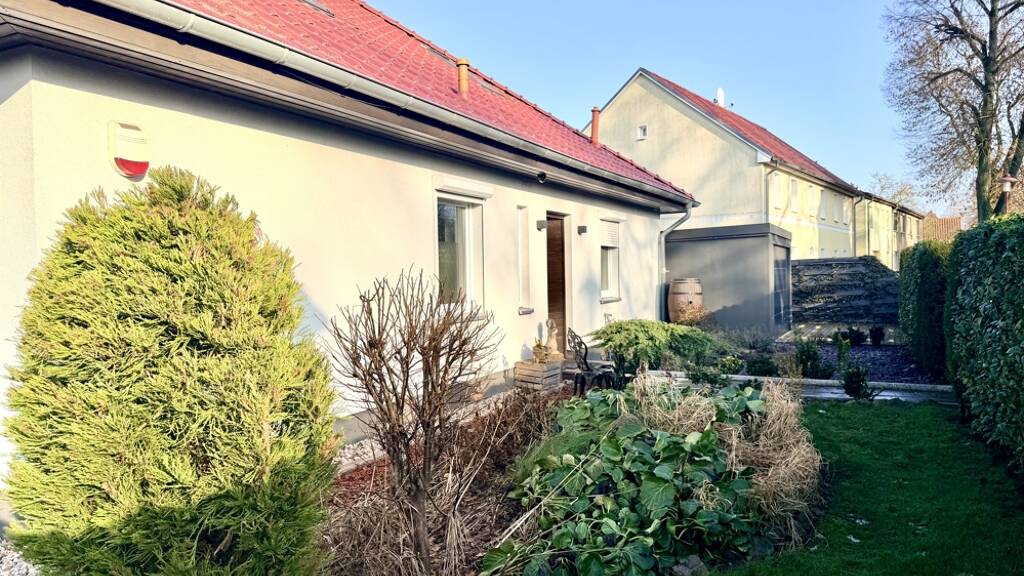 Einfamilienhaus zum Kauf 495.000 € 5 Zimmer 142 m² 804 m² Grundstück Beetz Kremmen 16766