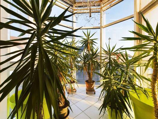 Wohnung zum Kauf 210.000 € 1 Zimmer 68,4 m² 1. Geschoss Mainaschaff 63814