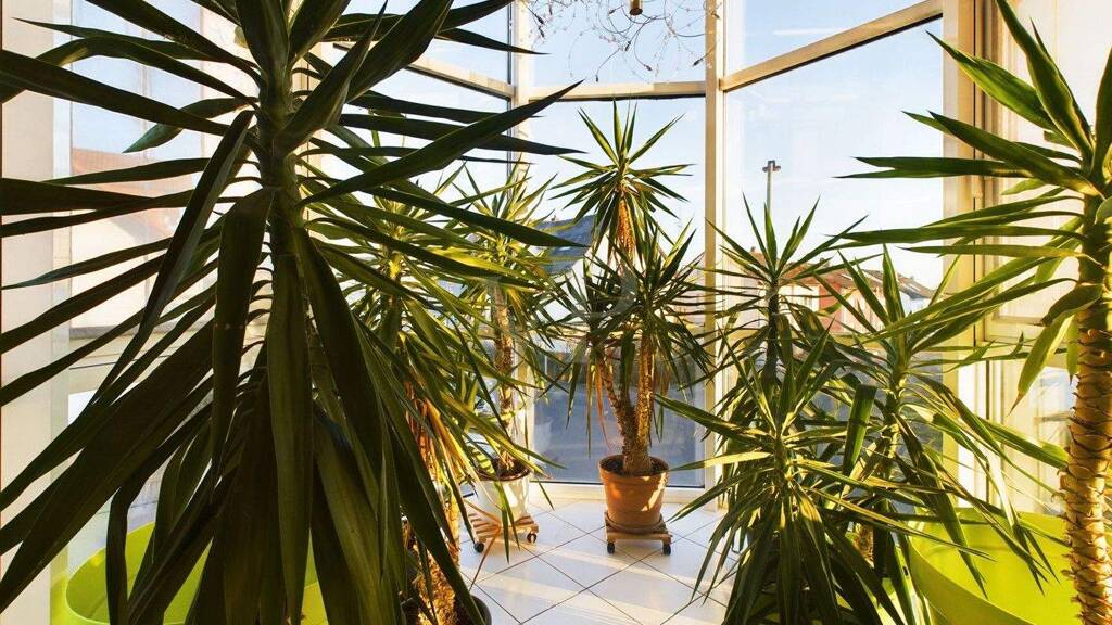 Studio zum Kauf 210.000 € 1 Zimmer 68,4 m² 1. Geschoss Mainaschaff 63814