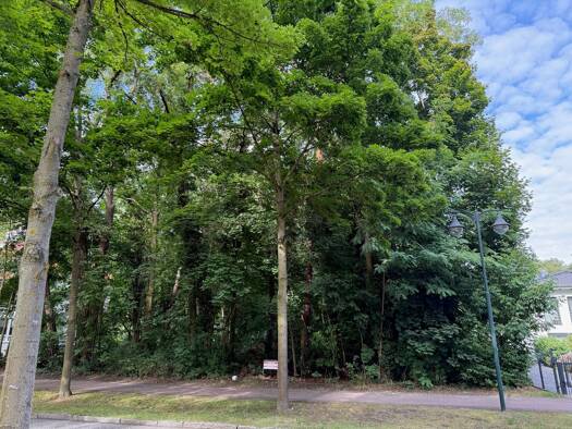 Grundstück zum Kauf 750.000 € 2.700 m² Grundstück Karl-Marx-Damm 76 Bad Saarow-Pieskow Bad Saarow 15526