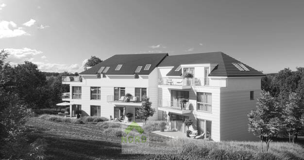 Terrassenwohnung zum Kauf - Neubau provisionsfrei 295.000 € 1 Zimmer 41,3 m² Brenkenhagener Weg 1-3 Grömitz Grömitz 23743