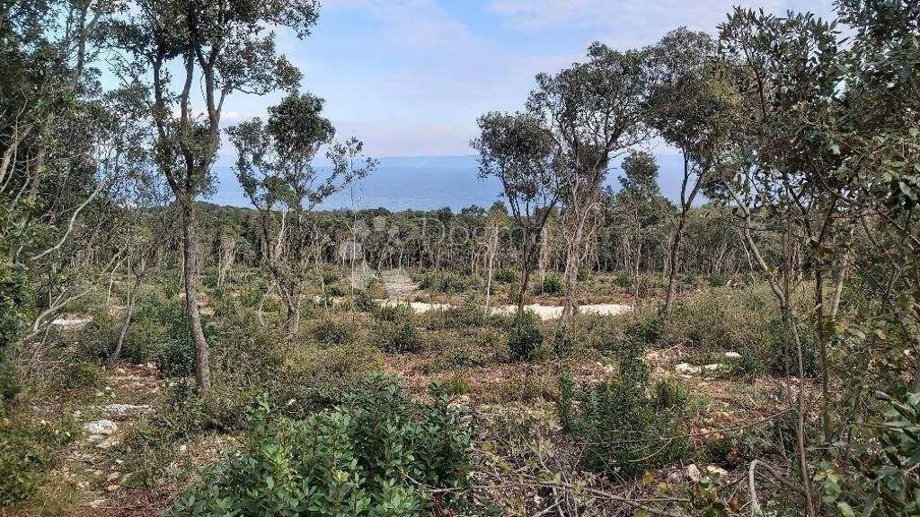 Land-/Forstwirtschaft zum Kauf 16.500 € Centar, Loborika