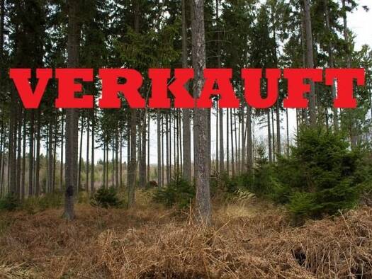 Bauernhof zum Kauf 3.000.000 € 1.170.000 m² Baden