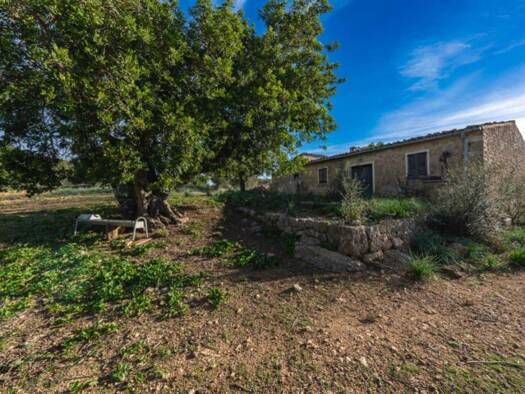 Bauernhaus zum Kauf 2.100.000 € 4 Zimmer 445 m² 128.000 m² Grundstück Alaró 07340