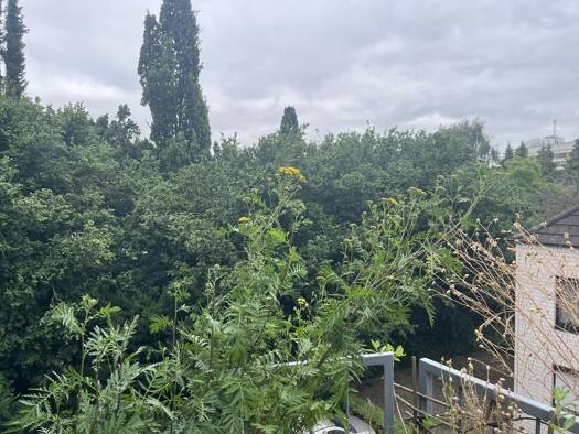 Wohnung zum Kauf 229.000 € 2 Zimmer 43 m² Sentrup West 48149