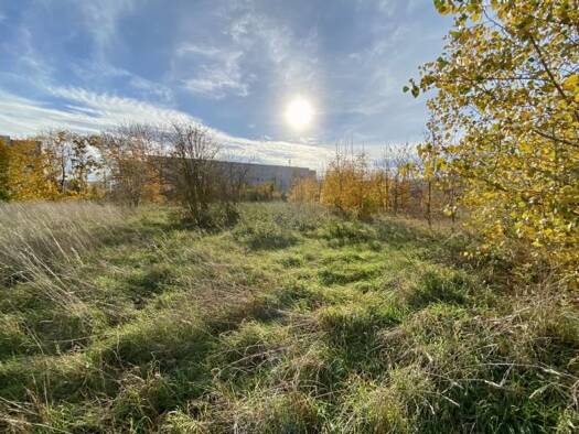 Grundstück zum Kauf provisionsfrei 4.612 m² Grundstück Johannes-R-Becher-Straße Kannenstieg Magdeburg 39128